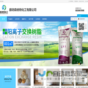 廊坊森纳特化工有限公司-混床阴阳离子交换树脂